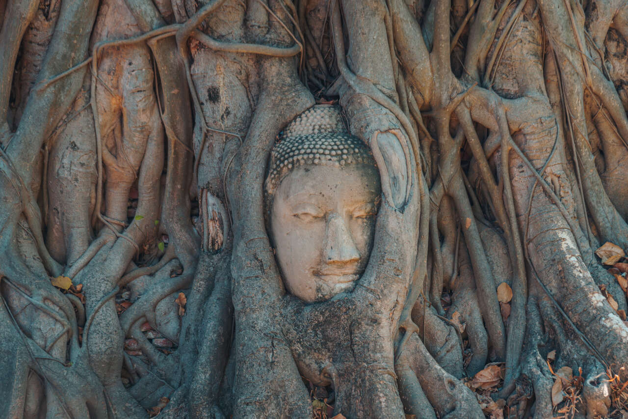 Capture the serene beauty of Ayutthaya’s historical landscapes